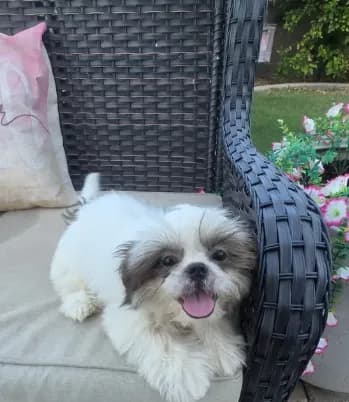 Charlie