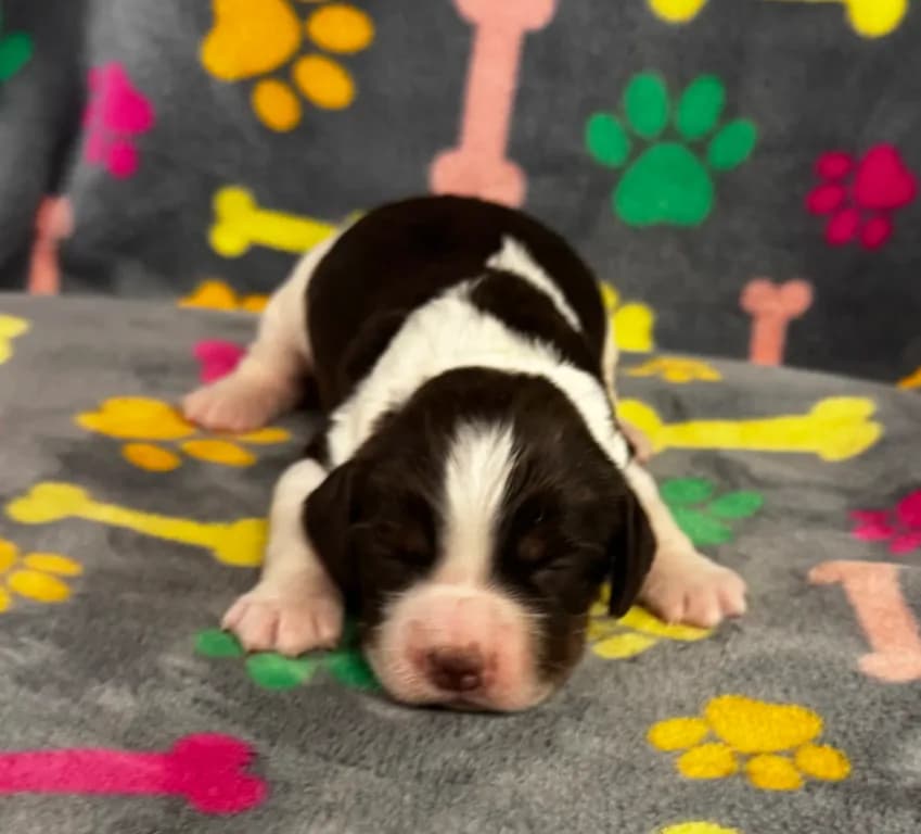 Finley Boy 1