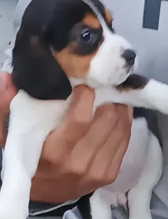 Chloe