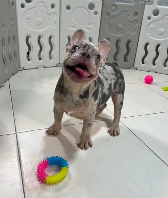 Tiny