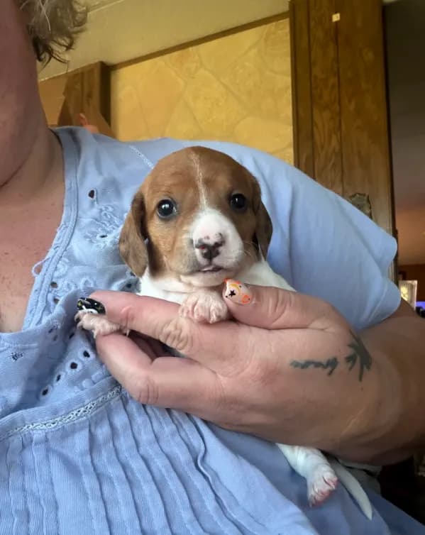 Fiona