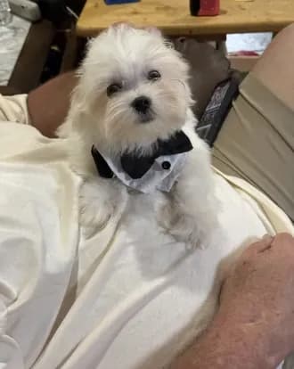 Tucker