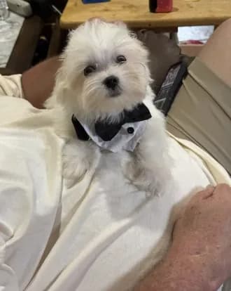 Tucker