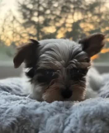 Boy#2