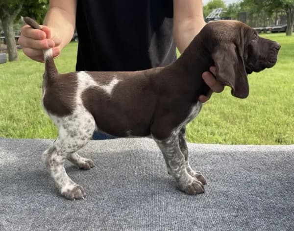 LOCATED IN HOUSTON