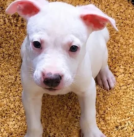 No name yet