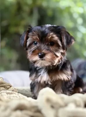 Boy#1