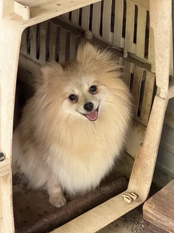 Mia