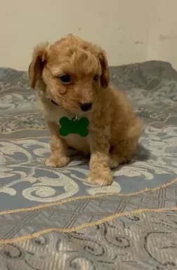 No name yet