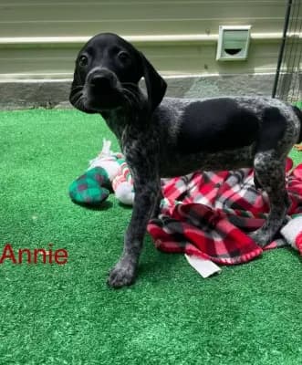 Annie