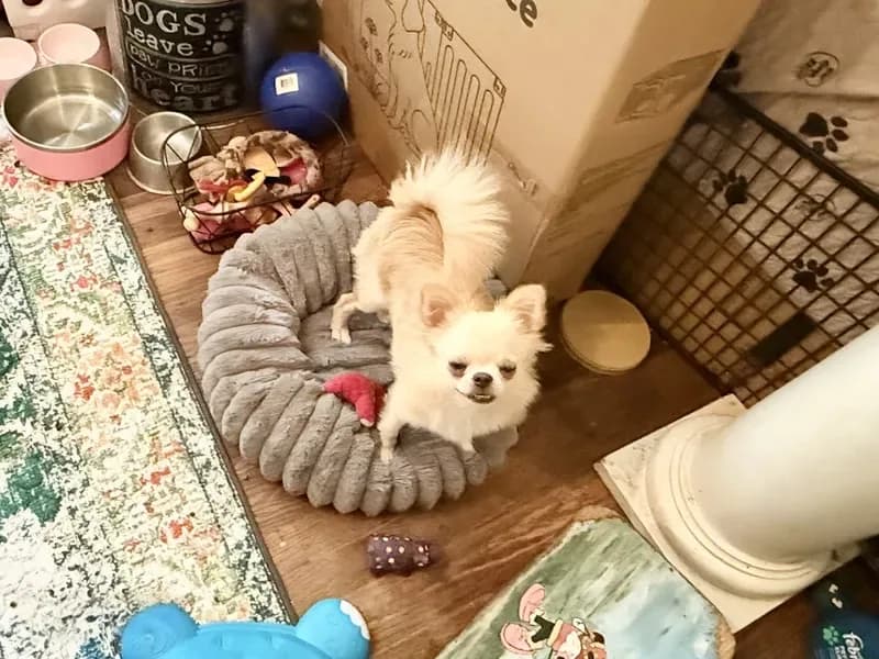 Duncan