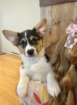 Max
