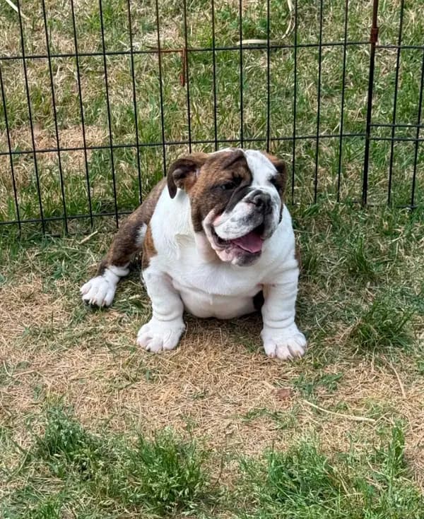 Matilda