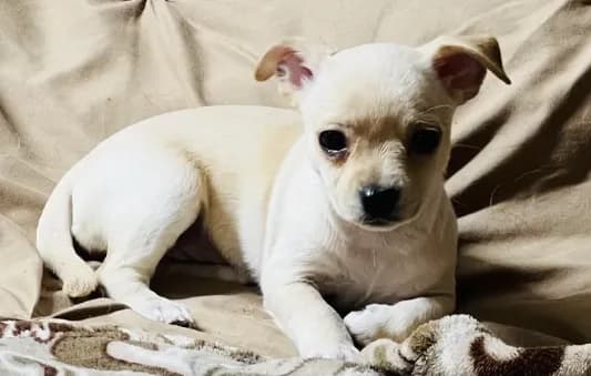 Winnie