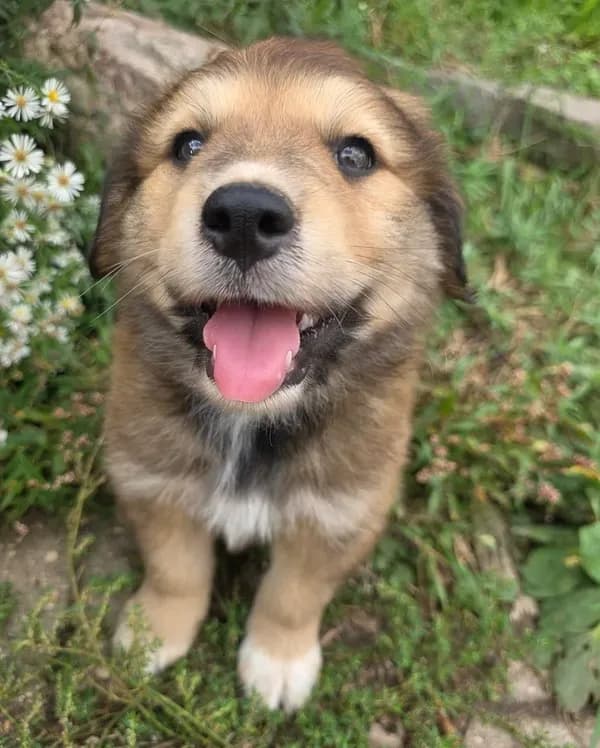 Charlie