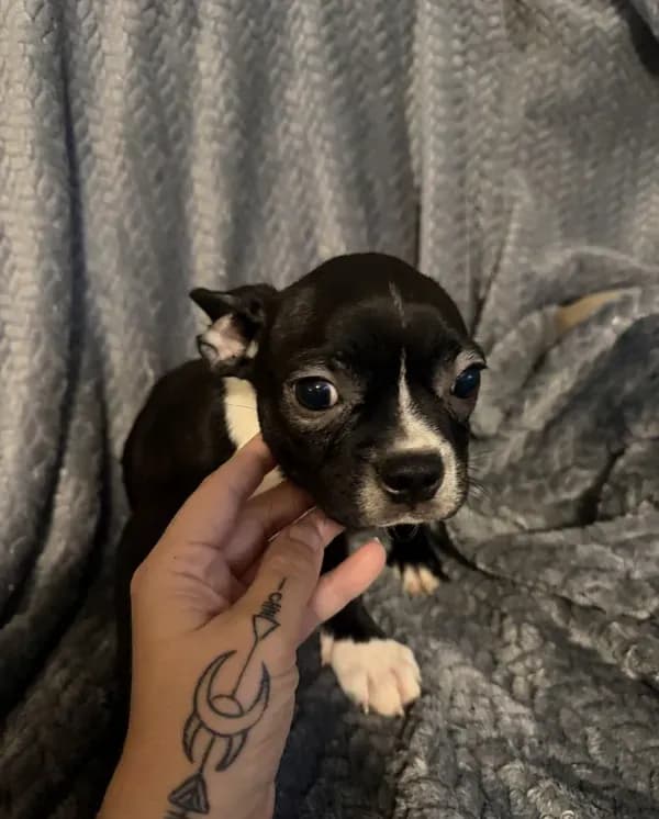 Boy 3