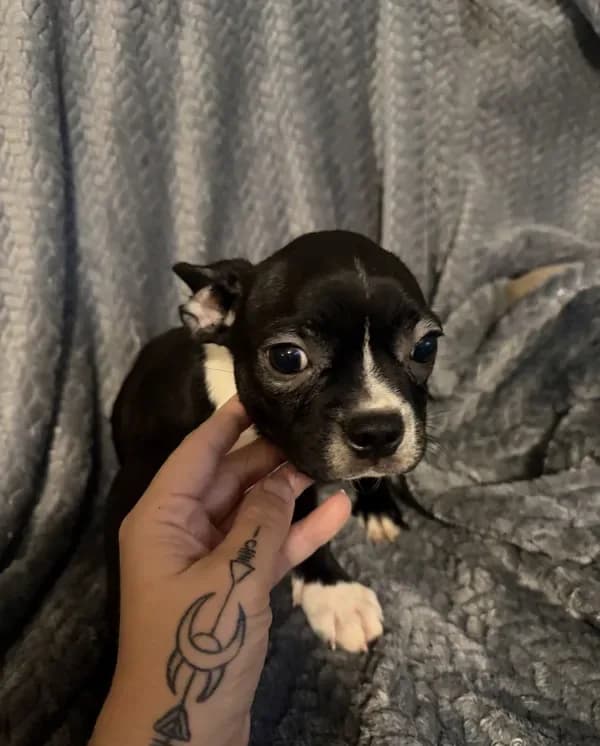 Boy 3