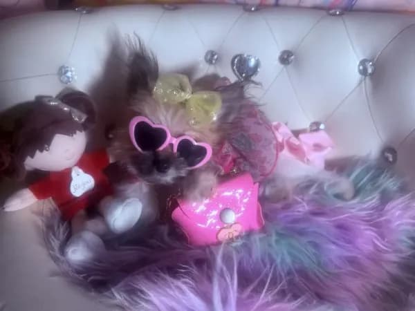 💕Micro Miss Muffet Marilyn 🧸