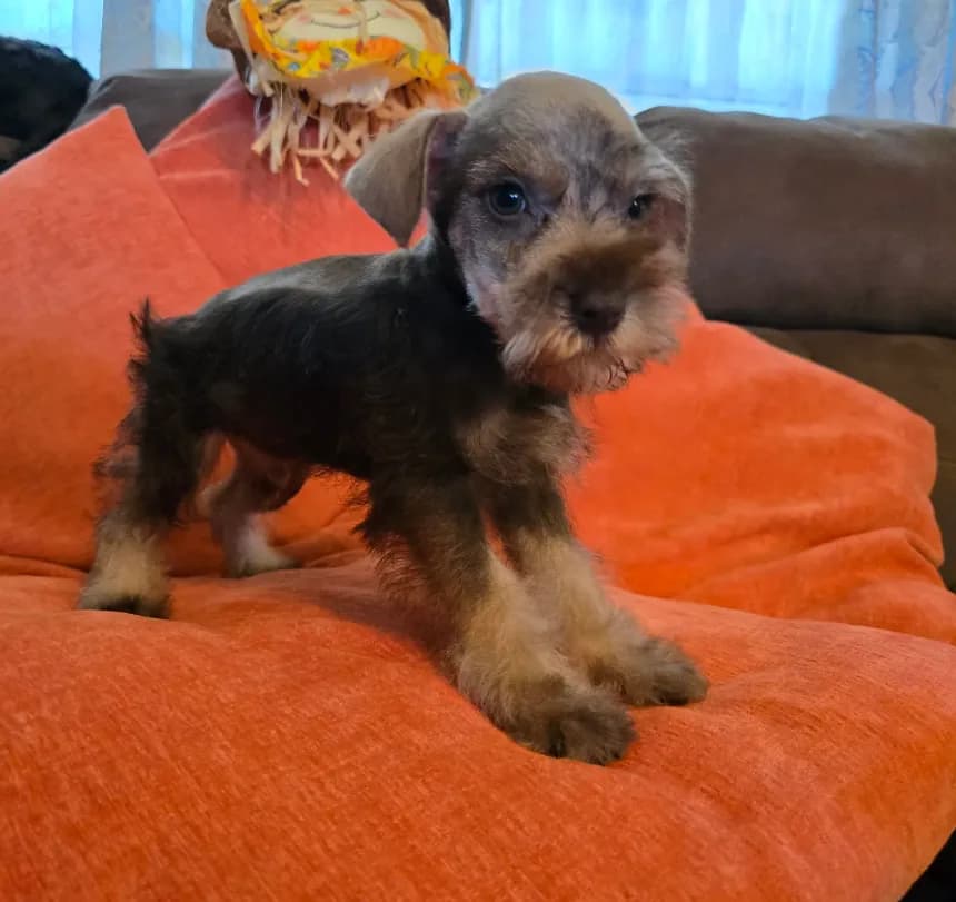 Charlie