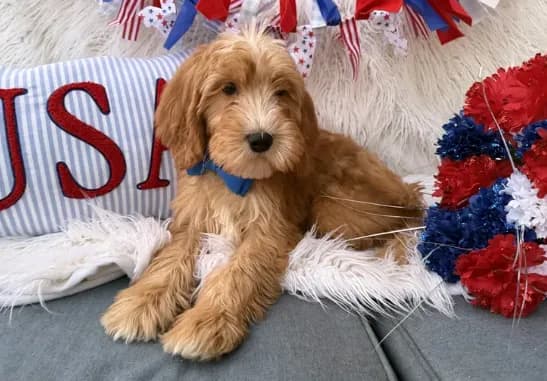Bentley