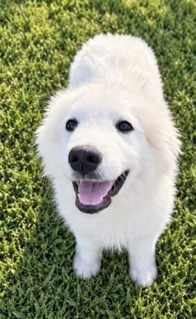 Ellie